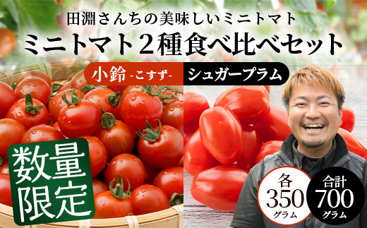 [数量限定]ミニトマト２種食べ比べセット(350g×２種) GP-3｜ミニトマト 野菜 やさい 食品 人気 おすすめ 美味しい 産地直送 小鈴 シュガープラム 食べ比べ セット