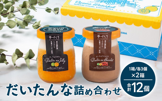 だいたんな詰め合わせ【いっしょにセット】各3個2種入り×2箱(計12個) SH-707 |タンカン 辺塚だいだい スイーツ フルーツ 果肉 ゼリー 手作り おしゃれ ショコラ 限定 スイーツ ジューシー 冷凍 産地直送 オリジナル ギフトボックス プレゼント 鹿児島県 南大隅町 31℃LINE花子