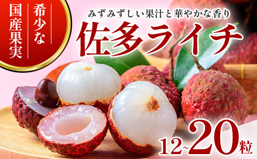 【期間限定・数量限定】 2026年7月より順次発送予定 生でお届け 佐多ライチ 約12粒～20粒 SG-1｜生ライチ 産地直送 新鮮 フレッシュライチ 国産ライチ フルーツ 果物 希少 鹿児島県 本土最南端 しげひさ農園