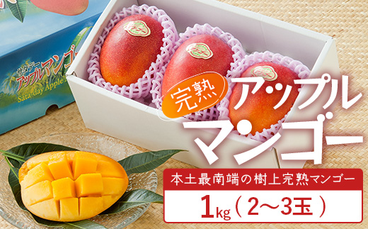 【先行予約】☆本土最南端☆佐多の果樹園で育てた 完熟アップルマンゴー 1kg (2〜3玉)