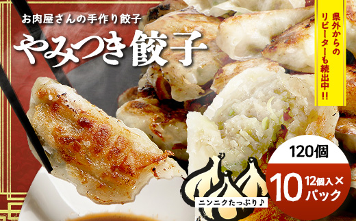 《リピーター続出！》佐多の田中肉屋 ニンニクたっぷりやみつき餃子 120個（12個入り×10パック） 餃子のタレ付き TA-402 | ぎょうざ 餃子 ギョウザ 豚肉 ひき肉 にんにく スタミナ餃子 焼くだけ 簡単 小分け 大容量 手作り お惣菜 おかず 冷凍 鹿児島県 南大隅町 田中精肉店