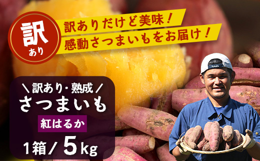 【訳あり！】【先行予約：11月下旬配送～】熟成 さつまいも 紅はるか 5kg (美味しい焼き芋の焼き方 説明書付き） FR-217｜秋の味覚 2026年秋収穫 サイズランダム 家庭用 貯蔵 糖化 さつまいも サツマイモ 感動サツマイモ 焼き芋 べにはるか 野菜 ねっとり 濃厚 おやつ おかず お弁当 煮物 芋ごはん 味噌汁 産地直送 鹿児島県 南大隅町 株式会社フォレスト