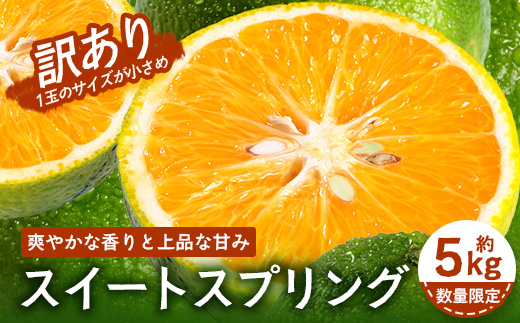 【訳あり】【数量限定】鹿児島県南大隅町産 スイートスプリング （S～M玉） 約5kg 【2025年12月中旬以降順次発送】 SK-19 ❘ 柑橘 フルーツ 国産 果物 みかん 期間限定 数量限定 産地直送 数量限定 もぎたて 新鮮 果汁 たっぷりミカン スイートスプリング 5kg 南大隅町 鹿児島県 島子農園