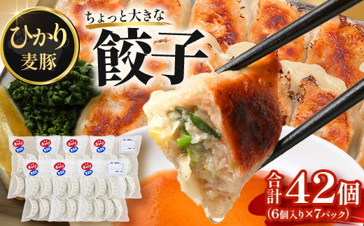 鹿児島県産 ひかり麦豚 ＼＼ちょっと大きな 餃子 42個セット／／ HM-707 | ぎょうざ ギョウザ 食べ応え抜群焼き餃子 水餃子 豚肉 おかず お弁当 冷凍 トレーなし パック 小分け 産地直送 鹿児島県 南大隅町 ひかり麦豚直売所