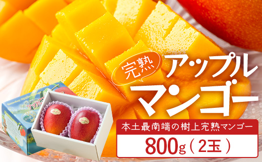 【先行予約】 ☆本土最南端☆佐多の果樹園で育てた 完熟アップルマンゴー 800g ( 2玉 ) 【2026年7月上旬以降順次発送】 ST-406 ｜鹿児島県 南大隅町 産地直送 旬 マンゴー フルーツ 果物 くだもの アップルマンゴー 詰め合わせ  第一佐多果樹園