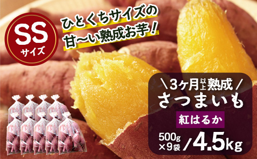 【先行予約：2027年1月上旬配送～】熟成 さつまいも 紅はるか 4.5kg (500g×9袋) SSサイズ FR-302 ｜ 秋の味覚 2026年秋収穫 貯蔵 長期熟成 糖化 さつまいも サツマイモ 感動サツマイモ 焼き芋 べにはるか 小ぶり 野菜 ねっとり 濃厚 おやつ おかず お弁当 煮物 芋ごはん 味噌汁 産地直送 鹿児島県 南大隅町 株式会社フォレスト