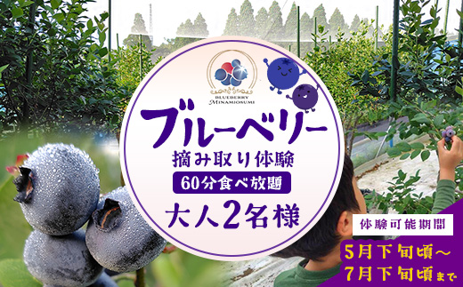 鹿児島県の南国！南大隅町の農園で、ブルーベリー摘み取り体験♪ ブルーベリー摘み取り体験チケット （60分食べ放題）≪大人2名様分≫ BO-4｜鹿児島県 南大隅町 農園 収穫体験 果物 ブルーベリー チケット 体験 本土最南端
