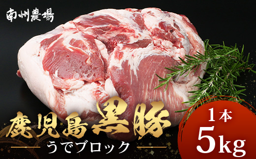 【南大隅町限定】かごしま黒豚 うでブロック（約5.0kg） NS-4 | 肉 豚肉 ぶた 豚 ブタ 黒豚 かごしま黒豚 うで ブロック 新鮮 産地直送 限定 鹿児島県 南大隅町 南洲農場