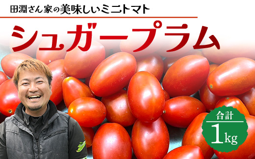 《期間限定》田淵さんちの美味しい ミニトマト シュガープラム（約1kg）GP-1｜鹿児島県 南大隅 産地直送 旬 とまと トマト ミニトマト リコピン 完熟 甘い 高糖度 野菜 やさい 送料無料