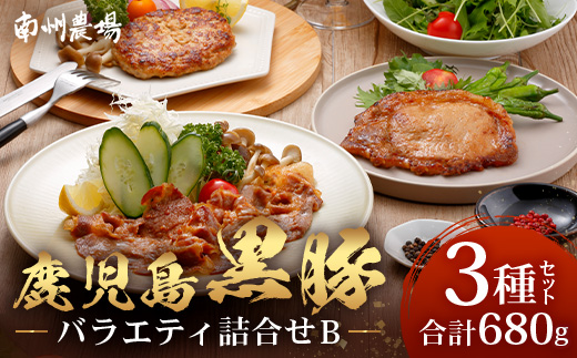 鹿児島県産 黒豚バラエティ詰合せ Bセット（ロース味噌漬け・生姜焼き・ハンバーグ）味付き 冷凍  NS-11❘ 加工肉 肉 お肉 豚肉 豚 にく ぶた かごしま黒豚 ロース肉 みそ漬け しょうが焼き ハンバーグ おかず ジューシー 小分け ギフト おかず お弁当 国産 鹿児島県 南大隅町 南州農場