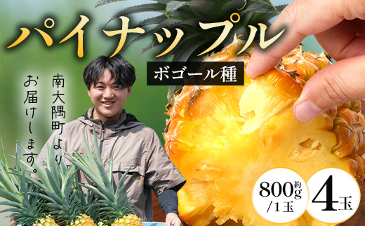 【2027年先行予約・数量限定】パイナップル/ボゴール種 (約800g×4玉) DS-4｜パイン パイナップル パインアップル フルーツ ボゴールパイン スナックパイン 産地直送 旬 送料無料 鹿児島県 南大隅町 株式会社デラセーラ