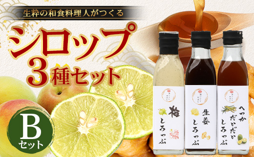【数量限定】日本料理人が作る シロップ 3種類 Bセット/辺塚だいだいシロップ・梅シロップ・生姜シロップ (各240ｇ×1瓶) GN-15｜鹿児島県 南大隅町 果物 うめ ショウガ しょうが フルーツ シロップ 希釈 甘み 酸味 甘さ控えめ お菓子づくり 手づくり 新鮮 旬  銀シャリ中はら