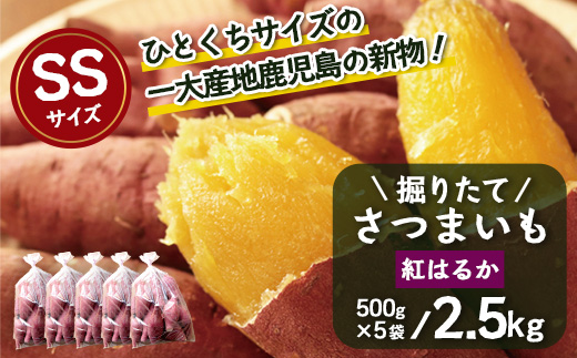 【期間限定！数量限定！】掘りたて さつまいも 紅はるか 2.5kg (500g×5袋) SSサイズ (自宅で簡単レシピ付き）FR-6 | 秋の味覚 2026年秋収穫 新物 さつまいも サツマイモ 感動サツマイモ 焼き芋 べにはるか 小ぶり 野菜 おやつ おかず お弁当 煮物 芋ごはん 味噌汁 産地直送 鹿児島県 南大隅町 株式会社フォレスト