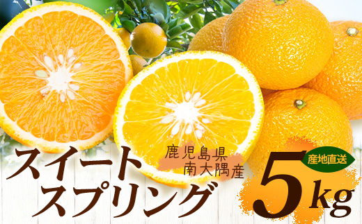 【数量限定】鹿児島県南大隅産スイートスプリング 5kg 【2025年12月下旬より順次発送】｜柑橘 くだもの 果物 フルーツ スイートスプリング 食品 人気 おすすめ 南大隅 新鮮 産地直送 爽やか 数量限定（AL7510）