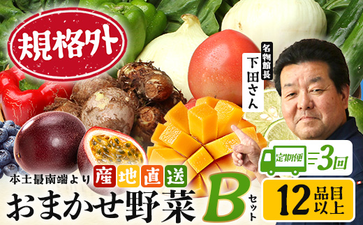 【定期便全3回】【規格外】本土最南端から 旬のおまかせ野菜セットB 12品目以上 NI-7 ｜ 旬 野菜 やさい 果物 くだもの 産地直送 農産物 冷蔵 鹿児島県 南大隅町産 詰合せ おまかせ 家庭用 訳あり なんたん市場
