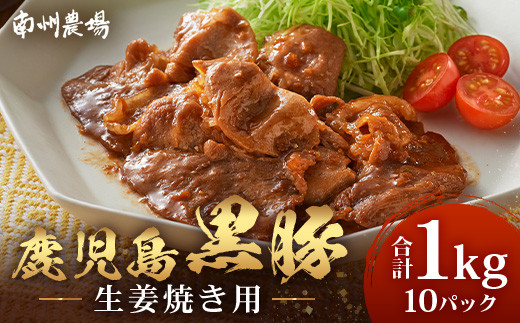 鹿児島県産 黒豚生姜焼きセット（100g×10パック）味付き肉 冷凍 NS-23 | 鹿児島 黒豚 かごしま黒豚 お肉 肉 豚肉 しょうが焼き 焼くだけ 味付き おかず お弁当 加工肉 真空パック 鹿児島県 南大隅町 南州農場
