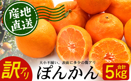 【訳あり】《先行予約》南大隅の太陽浴びた甘くて・おいしい ぽんかん 約5kg【数量限定】＜2026年1月中旬以降順次発送＞ ID-2｜訳あり 訳アリ ぽんかん ポンカン 柑橘 カンキツ 柑橘類 詰め合わせ 産地直送 先行予約 おすすめ 人気 南大隅町