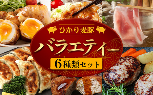 鹿児島県産 ひかり麦豚 バラエティー6種セット 冷凍 精肉 加工品 HM-13 | 肉 お肉 にく 豚肉 ロース ハンバーグ メンチかつ 衣付き 餃子 真空冷凍 産地直送 新鮮 小分け 産地直送 鹿児島県 南大隅町 ひかり麦豚直売所
