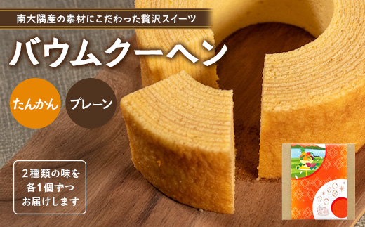 素材にこだわった南大隅町の手作りスイーツ　バウムクーヘン 2個セット ( プレーン ・ たんかん )