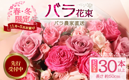 ※先行予約※【日付指定必須・ギフト対応可】ばら農家直送！人気の春・冬薔薇をお届け♪ バラ花束30本以上(ピンク系) TB-14│ローズ 新鮮 花 フラワー 花束 ばら 薔薇 バラ 誕生日 記念日 結婚祝い ギフト プレゼント お祝い 贈り物 贈答 鹿児島県 南大隅町 富田バラ園