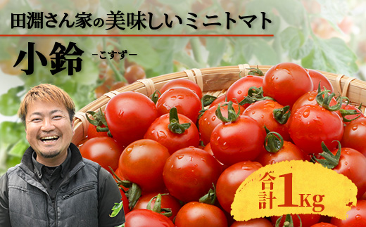 田淵さんちの美味しい ミニトマト 小鈴（約1kg）GP-708｜野菜 トマト ミニトマト 産地直送 ミニトマト 新鮮 トマト 南大隅町産 ミニトマト おいしい ミニトマト