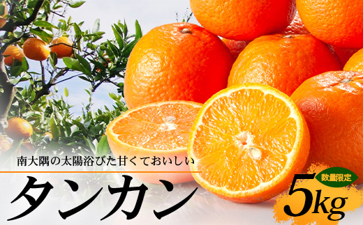 【先行予約・数量限定】南大隅の太陽浴びた甘くて・おいしい タンカン 5kg【2026年2月中旬以降順次発送】｜たんかん タンカン 柑橘 甘い 果物 新鮮 産地 直送 先行予約 おすすめ 人気 南大隅町(AL7506)