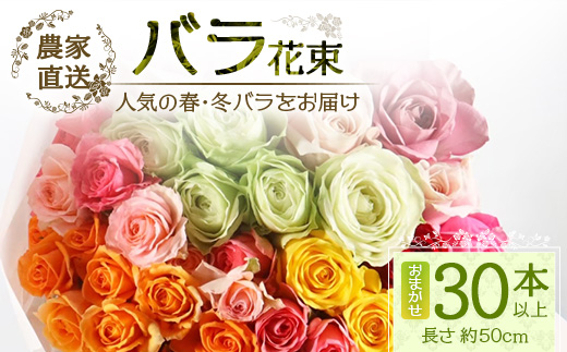 【先行予約】【人気の春・冬薔薇をお届け】ばら農家直送！バラ花束30本以上お届け(色はおまかせ) 【ギフト対応可】│ローズ 新鮮 花 フラワー 花束 ばら 薔薇 バラ 誕生日 記念日 結婚祝い ギフト プレゼント お祝い 贈り物 贈答 鹿児島県 南大隅町 富田バラ園 TB-16