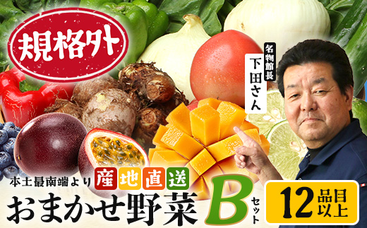 【規格外】本土最南端から 旬のおまかせ野菜セットB 12品目以上 NI-6｜ 旬 野菜 やさい 果物 くだもの 産地直送 農産物 冷蔵 鹿児島県 南大隅町産 詰合せ おまかせ 家庭用 訳あり なんたん市場