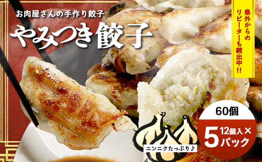 《リピーター続出！》佐多の田中肉屋 ニンニクたっぷりやみつき餃子 60個 (12個入り×5パック) TA-401 | ぎょうざ 餃子 ギョウザ 豚肉 ひき肉 にんにく スタミナ餃子 焼くだけ 簡単 小分け 大容量 手作り お惣菜 おかず 冷凍 鹿児島県 南大隅町 田中精肉店