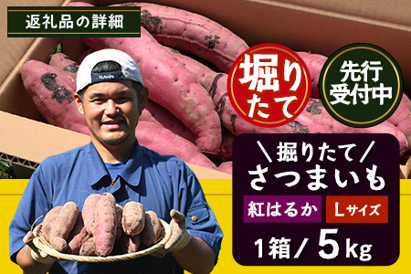 先行予約【2025年9月下旬より順次発送】掘り立て 紅はるか 5kg ( 1箱 ) Lサイズ さつまいも 鹿児島県産（AX7532）