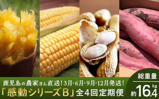 【定期便・年4回】農家の感動シリーズB (約16.4kg) FR-2｜冷凍焼き芋 ゴールドラッシュ とうもろこし 塩茹で 落花生 ピーナッツ 芋 さつまいも 紅はるか 野菜定期便 旬 産地直送 サラダ 南大隅町