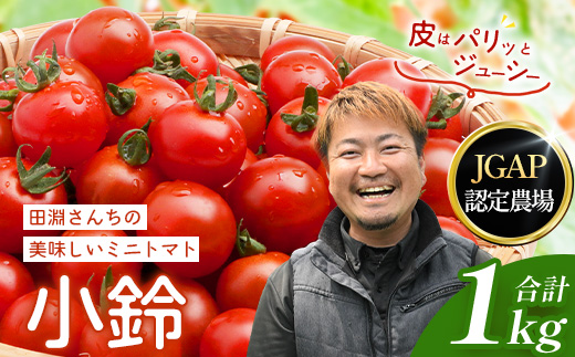 田淵さんちの美味しい ミニトマト 小鈴（約1kg）GP-708｜野菜 トマト ミニトマト 産地直送 新鮮 おいしい お弁当 サラダ 南大隅町 鹿児島県 根占グリーンプラネット