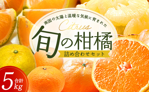 【数量限定】おたのしみ!旬の柑橘詰め合わせセット(4種約5kg) NK-4|果物 柑橘 大将季 ぽんかん スイートスプリング 津之輝 麗江 サワーポメロ 南大隅町 産地直送 詰め合わせ 5kg 国産 数量限定