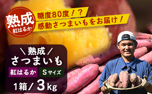 【先行予約：11月下旬配送～】熟成 さつまいも 紅はるか 3kg Sサイズ (美味しい焼き芋の焼き方 説明書付き） FR-211 ｜ 秋の味覚 2026年秋収穫 貯蔵 長期熟成 糖化 さつまいも サツマイモ 感動サツマイモ 焼き芋 べにはるか 小ぶり 野菜 ねっとり 濃厚 おやつ おかず お弁当 煮物 芋ごはん 味噌汁 産地直送 鹿児島県 南大隅町 株式会社フォレスト
