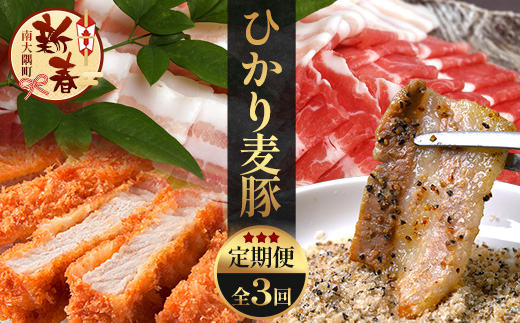 ［新春］【定期便全3回】ひかり麦豚定期便 ≪月替わりで楽しむ豚肉セット！しゃぶしゃぶ・ロース肉・焼肉セットをお届け！≫ 冷凍 HM-18 |肉 お肉 にく 豚肉 精肉 焼き肉 焼肉 やきにく バーベキュー ロース肉 肩ロース バラ肉 生姜焼き とんかつ しゃぶしゃぶ 真空冷凍 産地直送 小分け パック 手作り 鹿児島県 南大隅町 ひかり麦豚直売所