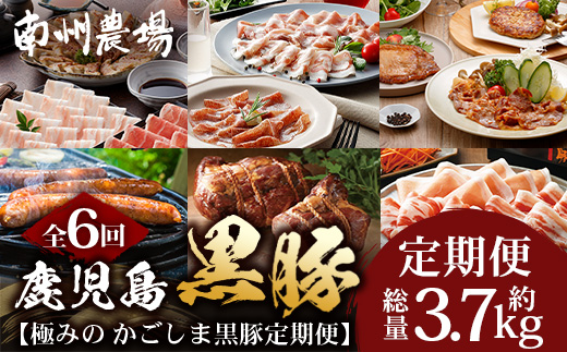 【定期便全6回】極みの かごしま黒豚 定期便 NS-36 | 鹿児島 かごしま 豚 豚肉 ぶた おかず しゃぶしゃぶ 餃子 味噌漬け 生ハム 生姜焼き ハンバーグ ウインナー ハム ソーセージ 焼き豚 切り落とし もも肉 肩ロース バラ 人気 定期便 鹿児島県 南大隅町