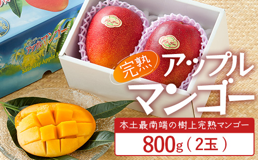 ≪マンゴー≫ ☆本土最南端☆佐多の果樹園で育てた 完熟アップルマンゴー 800g ( 2玉 ) ｜鹿児島県 南大隅 産地直送 旬 マンゴー フルーツ 果物 くだもの V7406