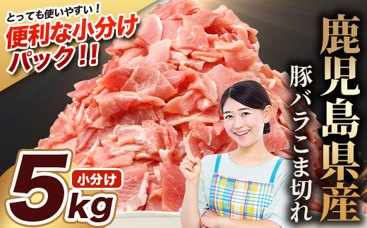 鹿児島県産 豚バラ切り落とし 計5kg HK-32 鹿児島県 南大隅町 国産豚 250g×20パック 豚肉切り落とし 豚バラ肉 小分け 豚キムチ 炒め物 焼肉 こま切れ 切り落とし 細切れ 小間切れ 薄切り スライス お肉 肉 豚肉 冷凍