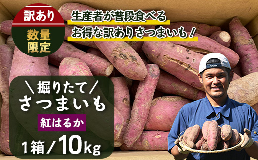 [訳あり！]先行予約【2025年9月下旬より順次発送】さつまいも 紅はるか 堀りたて 10kg (1箱 ) 新物 鹿児島県産
