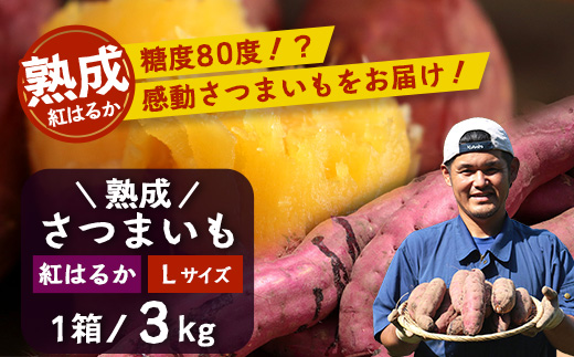 先行予約【2025年11月下旬より順次発送】【鹿児島県産】熟成 紅はるか 3kg (1箱 ) Lサイズ さつまいも（AX7531）