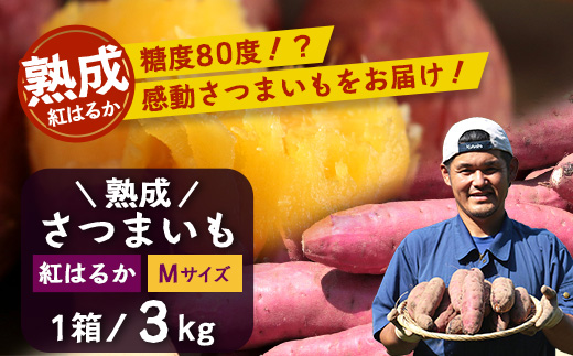 【先行予約：11月下旬配送～】熟成 さつまいも 紅はるか 3kg Mサイズ (美味しい焼き芋の焼き方 説明書付き） FR-213 ｜ 秋の味覚 2026年秋収穫 貯蔵 長期熟成 糖化 さつまいも サツマイモ 感動サツマイモ 焼き芋 べにはるか 使いやすい 野菜 ねっとり 濃厚 おやつ おかず お弁当 煮物 芋ごはん 味噌汁 産地直送 鹿児島県 南大隅町 株式会社フォレスト