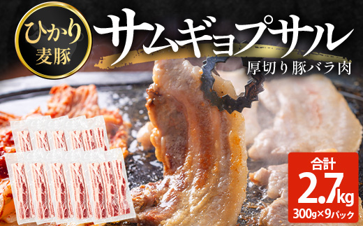 サムギョプサル用 厚切り豚バラ肉 約2.7kg（300g×9パック） ひかり麦豚 トレーなし HM-21 ｜ サムギョプサル 肉 お肉 にく 豚肉 バラ肉 厚切り 冷凍 真空冷凍 小分け 焼肉 BBQ 産地直送 鹿児島県 南大隅町 ひかり麦豚直売所