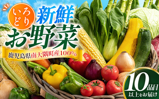 いろどり新鮮お野菜セット 10品目以上 NI-3 ｜ 旬 野菜 やさい 果物 くだもの 産地直送 農産物 冷蔵 鹿児島県 南大隅町産 詰合せ おまかせ 家庭用 なんたん市場