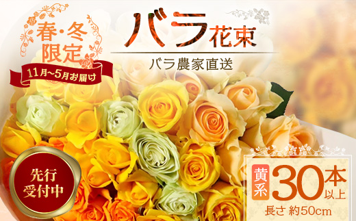 ※先行予約※【日付指定必須・ギフト対応可】ばら農家直送！人気の春・冬薔薇をお届け♪バラ花束30本以上(黄系) TB-15 │ ローズ 新鮮 花 フラワー 花束 ばら 薔薇 バラ 誕生日 記念日 結婚祝い ギフト プレゼント お祝い 贈り物 贈答 鹿児島県 南大隅町 富田バラ園