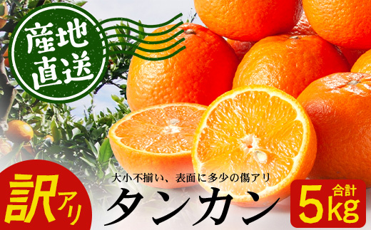 【訳あり】《先行予約》南大隅の太陽浴びた甘くて・おいしい タンカン 約5kg【数量限定】<2026年2月中旬以降順次発送> ID-3｜訳あり 訳アリ たんかん タンカン 柑橘 カンキツ 柑橘類 詰め合わせ 産地直送 先行予約 おすすめ 人気 南大隅町