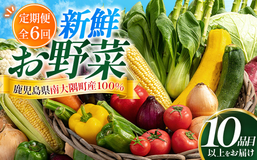 【定期便全6回】いろどり新鮮お野菜セット 10品目以上 NI-5 ｜ 旬 野菜 やさい 果物 くだもの 産地直送 農産物 冷蔵 鹿児島県 南大隅町産 詰合せ おまかせ 家庭用 なんたん市場