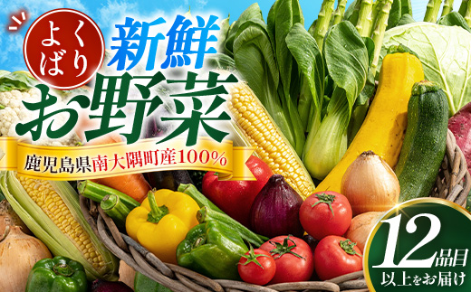 よくばり新鮮お野菜セット 12品目以上 NI-6｜ 旬 野菜 やさい 果物 くだもの 産地直送 農産物 冷蔵 鹿児島県 南大隅町産 詰合せ おまかせ 家庭用 なんたん市場