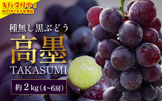 【2027年先行予約・数量限定】本土最南端のぶどう 高墨 約2kg(4～6房）種無し TE-2｜鹿児島県 南大隅町