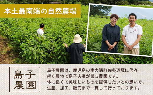 自然栽培で育てた ノンカフェインの菊芋コーヒー【１袋】