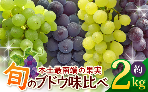 【数量限定！本土最南端ぶどう】旬のブドウ味くらべ２キロ（５～６房）｜ぶどう 葡萄 ブドウ 果物 人気  新鮮 高級 ギフト 鹿児島県 南大隅町 贈答 くだもの  期間限定 数量限定 TE708
